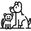 Tiertransport