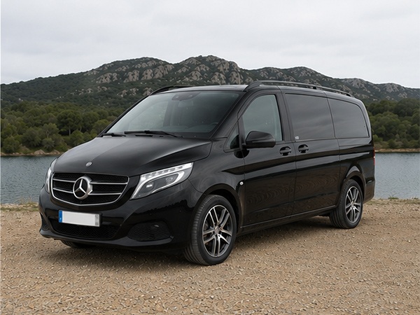 Mercedes Benz V 250d