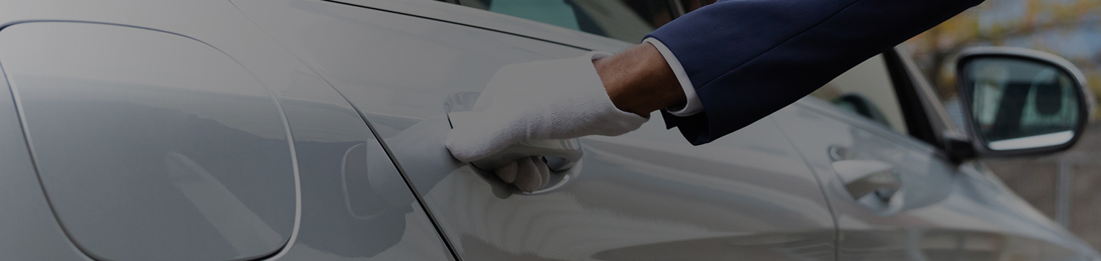 Servicios